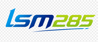 lsm285